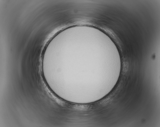 X0000115721286200912101420