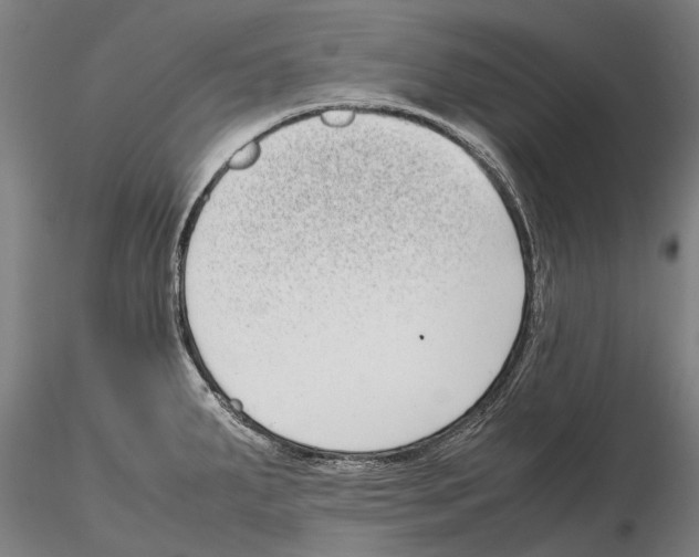 X0000115721287200912101420