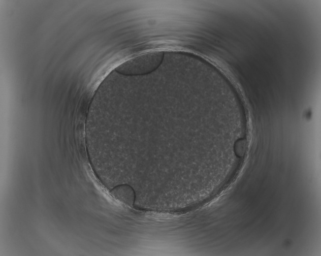 X0000115721289200912101420