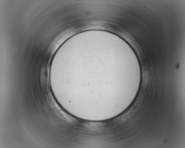 X0000115721290200912101420