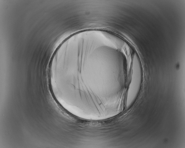 X0000115721291200912101420