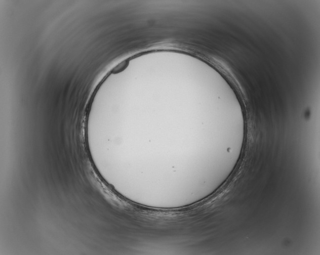X0000115721292200912101420