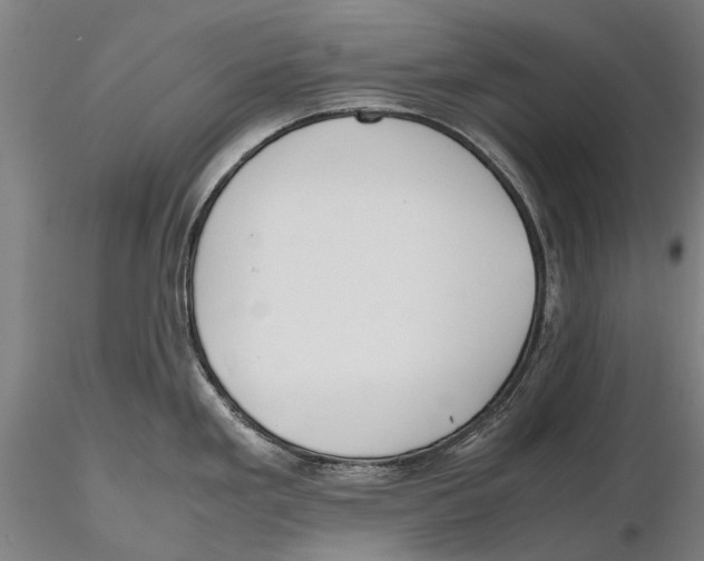 X0000115721293200912101420