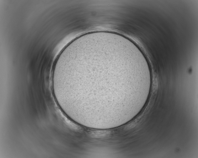 X0000115721294200912101420