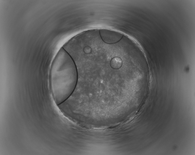 X0000115721295200912101419