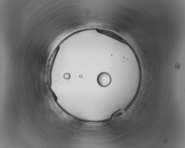 X0000115721296200912101419