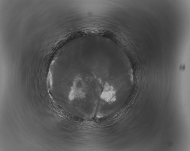 X0000115721297200912101419