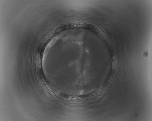 X0000115721298200912101419