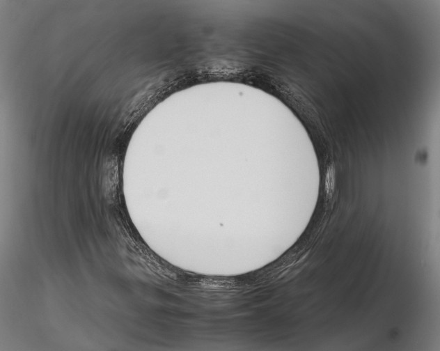 X0000115721299200912101419