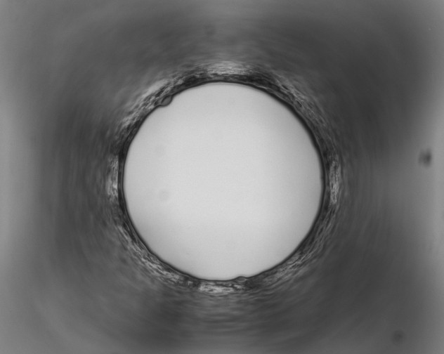 X0000115721301200912101419