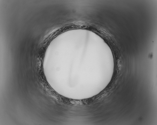 X0000115721302200912101419