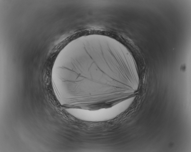 X0000115721303200912101419
