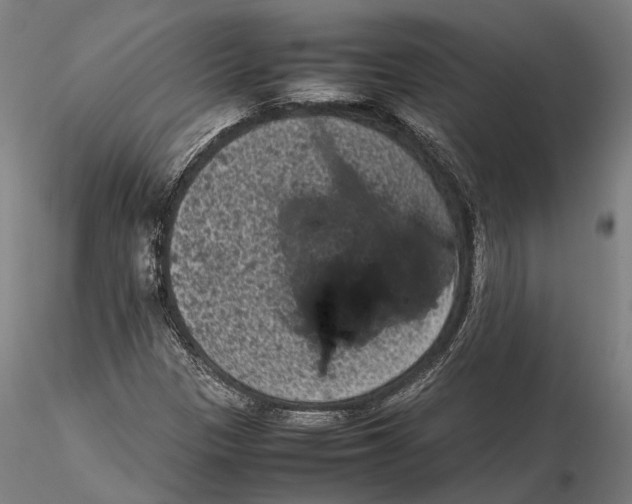 X0000115721305200912101419