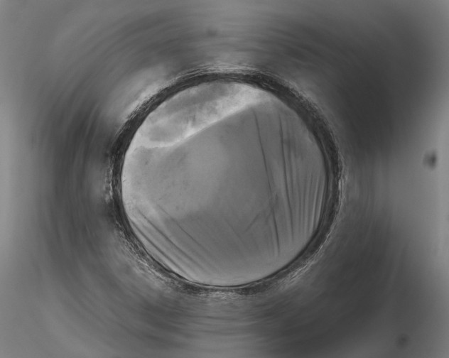 X0000115721306200912101419