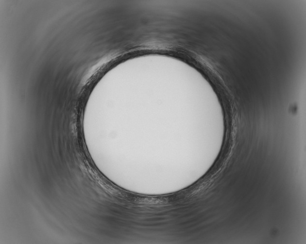 X0000115721307200912101419