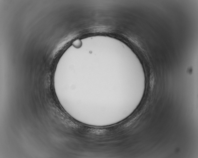 X0000115721309200912101419
