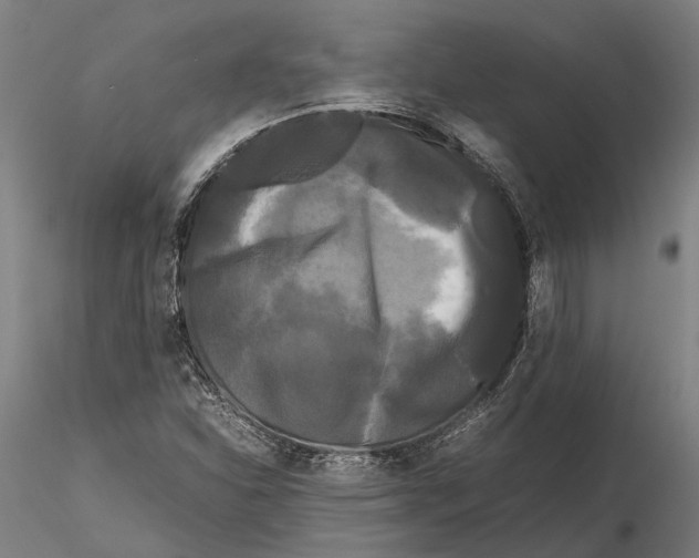X0000115721310200912101419
