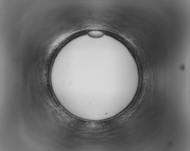 X0000115721311200912101419