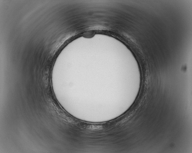 X0000115721313200912101419