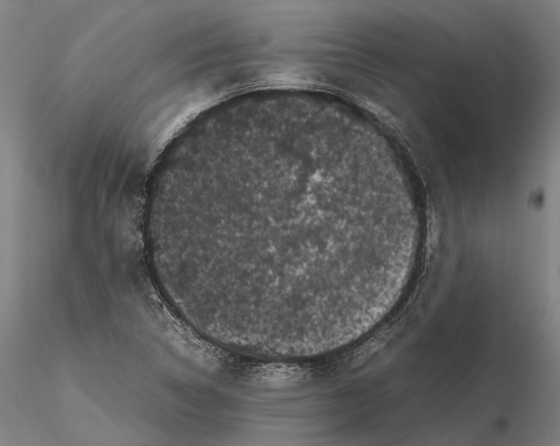 X0000115721314200912101419