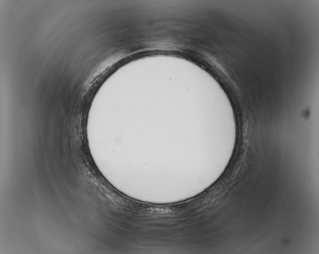 X0000115721315200912101419