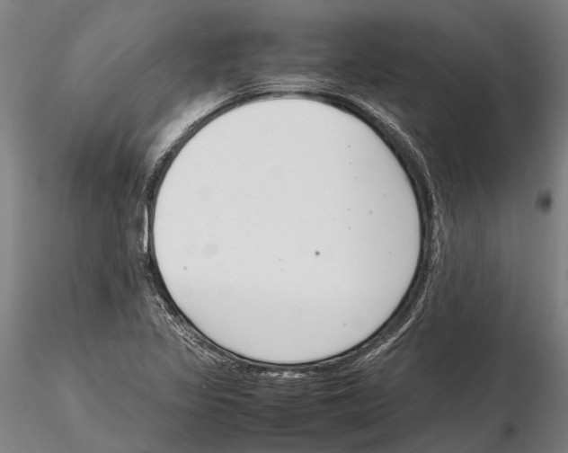 X0000115721317200912101419