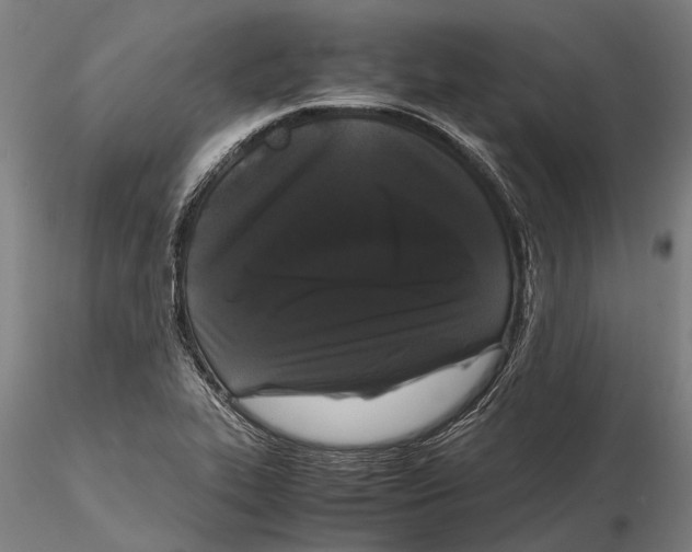 X0000115721319200912101419