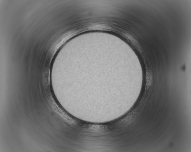 X0000115721322200912101419