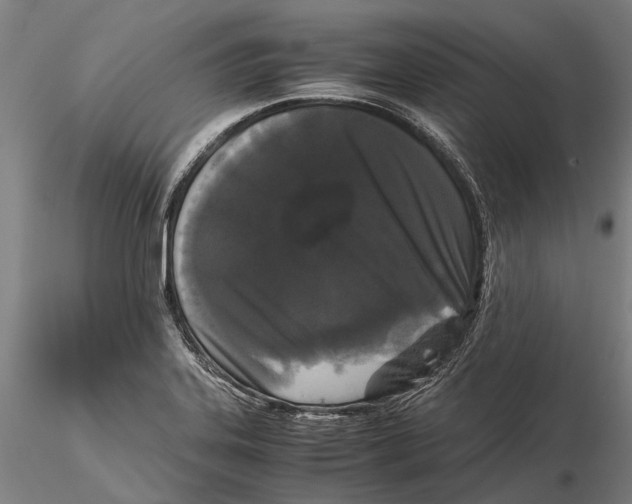 X0000115721323200912101419