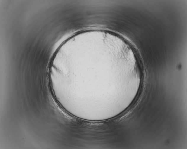 X0000115721325200912101419