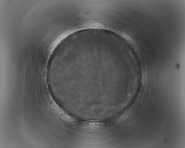 X0000115721326200912101419