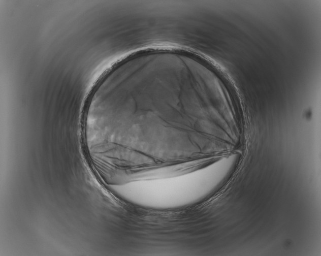X0000115721327200912101419