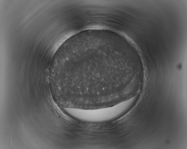 X0000115721329200912101419