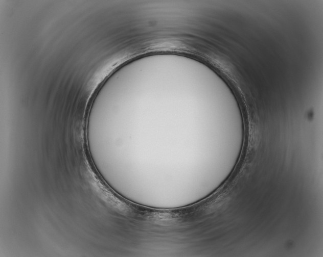 X0000115721330200912101419