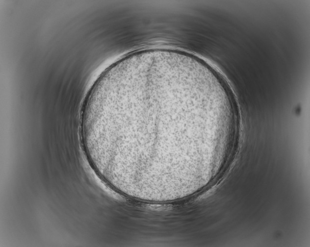 X0000115721333200912101419