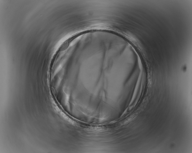 X0000115721334200912101419