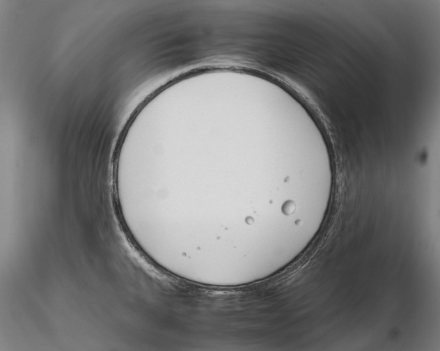 X0000115721335200912101419