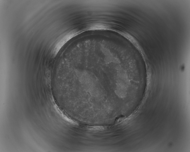 X0000115721337200912101419