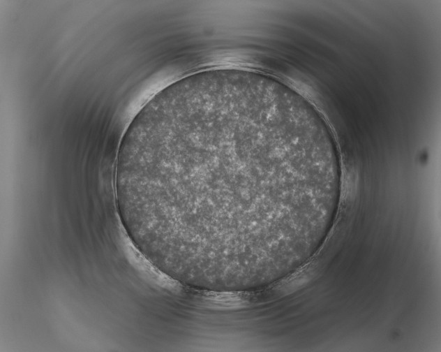 X0000115721338200912101419
