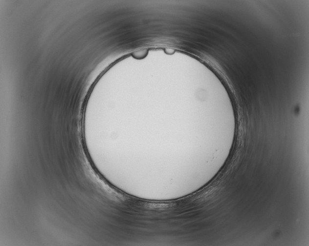 X0000115721339200912101419