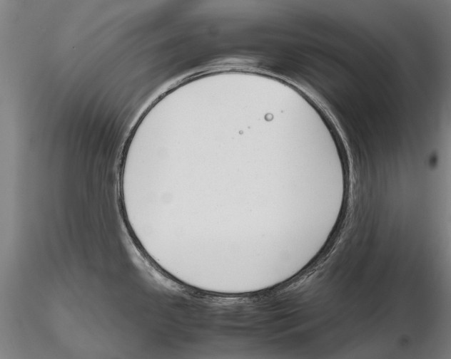 X0000115721341200912101419