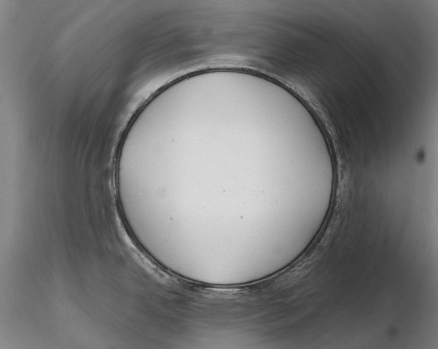 X0000115721342200912101419