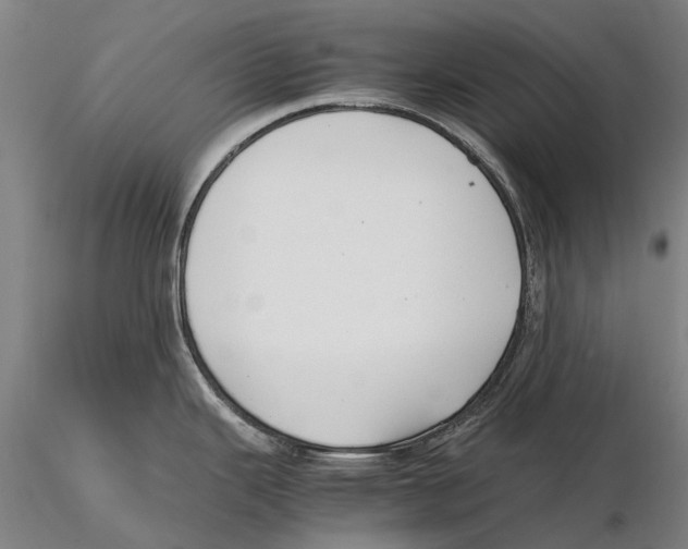 X0000115721343200912101419