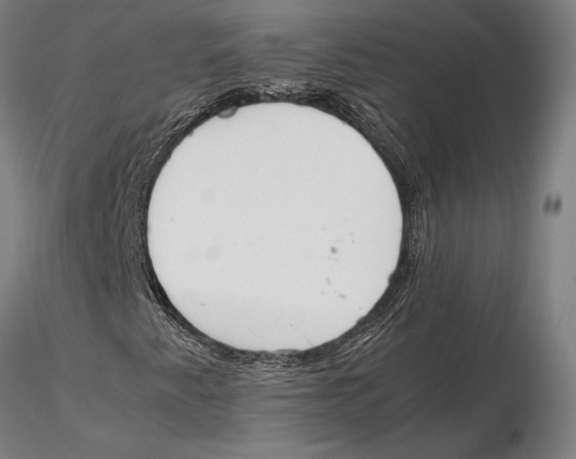 X0000115721345200912101419