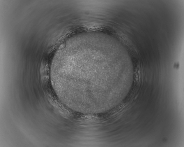 X0000115721346200912101419