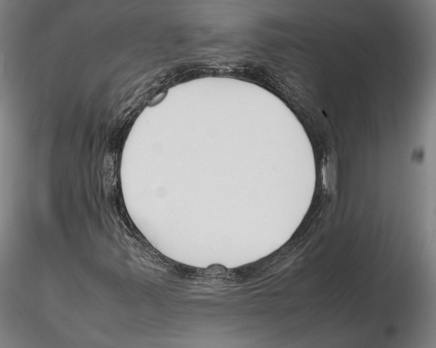 X0000115721347200912101419