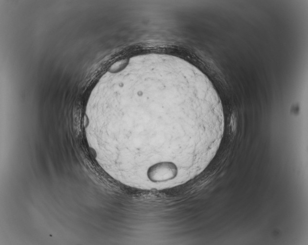X0000115721348200912101419