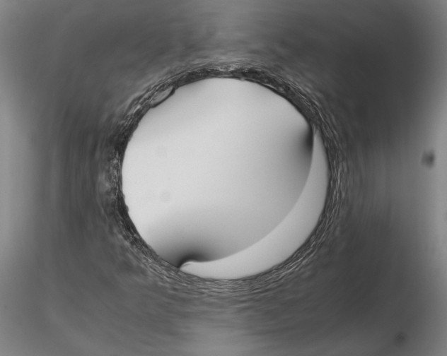 X0000115721349200912101419