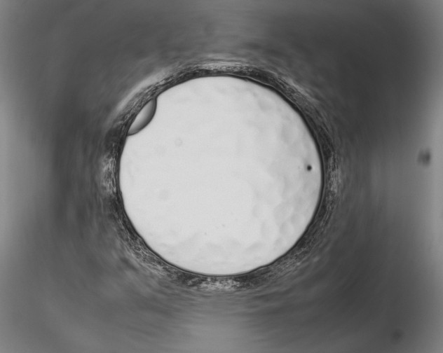 X0000115721351200912101419