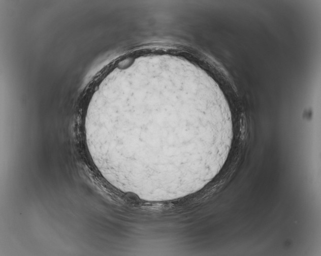 X0000115721352200912101419